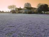 931 State Road 77 - Photo 1