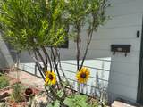 708 Julie Ct - Photo 3