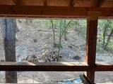 819 Carrizo_Canyon Rd - Photo 13