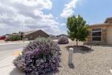 3721 Saguaro St - Photo 41