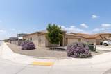 3721 Saguaro St - Photo 43