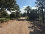 4 Crown Point Rd - Photo 24