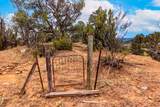 1319 Park Hill St - Photo 44