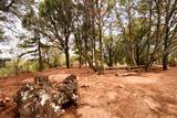 1319 Park Hill St - Photo 48