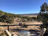 43 Jake Rd - Photo 11