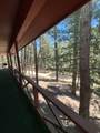 6 Forest Dr - Photo 24