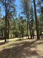 6 Forest Dr - Photo 28