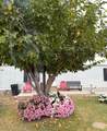 5103 Praline Dr - Photo 3