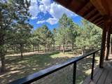 5 Canuto Ct - Photo 30