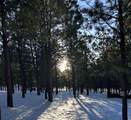 5 Canuto Ct - Photo 42