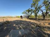 557 Elenora St - Photo 48