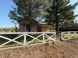 557 Elenora St - Photo 57