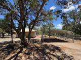 19 Michael Ave - Photo 8