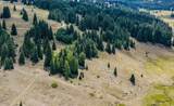 0 Buckman Rd. - Photo 10