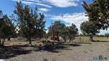 126 Cattle Track Dr - Photo 38