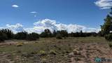 126 Cattle Track Dr - Photo 42