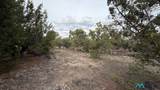 126 Cattle Track Dr - Photo 43