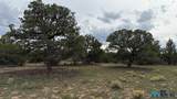 126 Cattle Track Dr - Photo 47