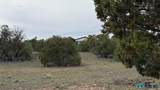 126 Cattle Track Dr - Photo 53