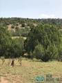 CR B27 Tracts C3 & C4 Roads - Photo 1