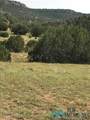CR B27 Tracts C3 & C4 Roads - Photo 3