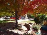 424 Third Street St - Photo 35