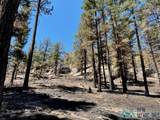 1045 Ctc Ranch Canyon - Photo 17