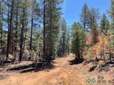 1045 Ctc Ranch Canyon - Photo 20