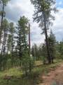 1045 Ctc Ranch Canyon - Photo 3