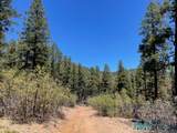 1045 Ctc Ranch Canyon - Photo 22