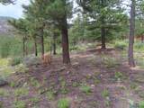 1045 Ctc Ranch Canyon - Photo 40