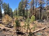1045 Ctc Ranch Canyon - Photo 5