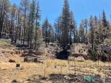 1045 Ctc Ranch Canyon - Photo 10