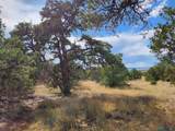 136 Ponderosa View Loop Road - Photo 10