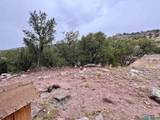 31 Bluff - Photo 22
