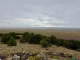 31 Bluff - Photo 30