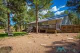 151 Alto Pines Trail - Photo 47