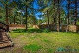 151 Alto Pines Trail - Photo 49