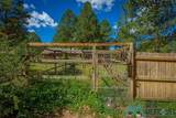 151 Alto Pines Trail - Photo 50