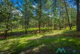 151 Alto Pines Trail - Photo 52