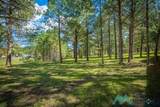 151 Alto Pines Trail - Photo 53