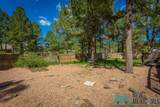 151 Alto Pines Trail - Photo 54