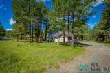 151 Alto Pines Trail - Photo 55