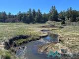150 Forrest Service Road 124 - Photo 26