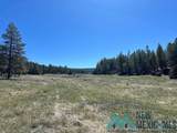 150 Forrest Service Road 124 - Photo 27