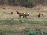 150 Forrest Service Road 124 - Photo 29
