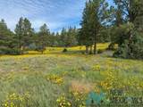150 Forrest Service Road 124 - Photo 31