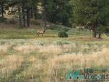150 Forrest Service Road 124 - Photo 33