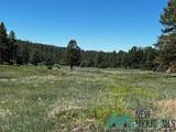 150 Forrest Service Road 124 - Photo 35