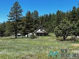 150 Forrest Service Road 124 - Photo 36
